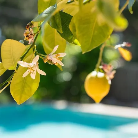 Espectacular Privada Con Piscina Y Aacc Holiday home